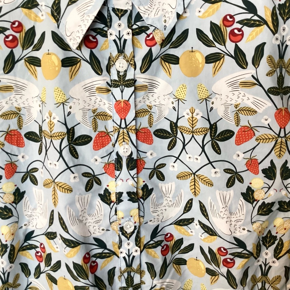 Boden Fruit & Bird Novelty Print Long Sleeve Button Up Shirt - Blue - 4 - Picture 4 of 8